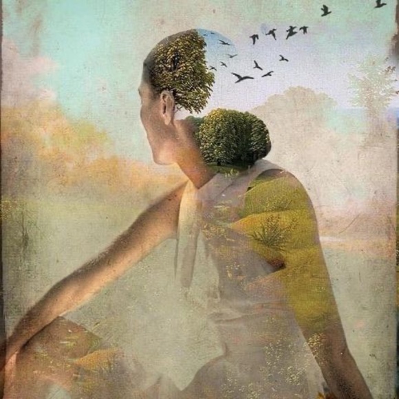 Meet your Posher, Tammy - Picture 1 of 1